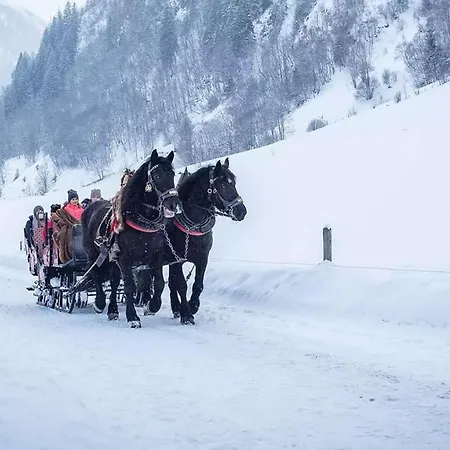 Kumming Incl Nationalparkcard Apartament