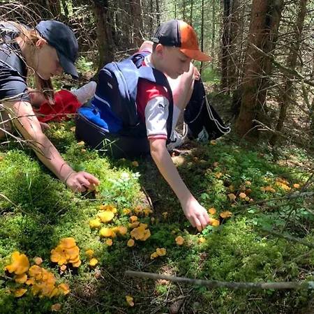 Kumming Incl Nationalparkcard