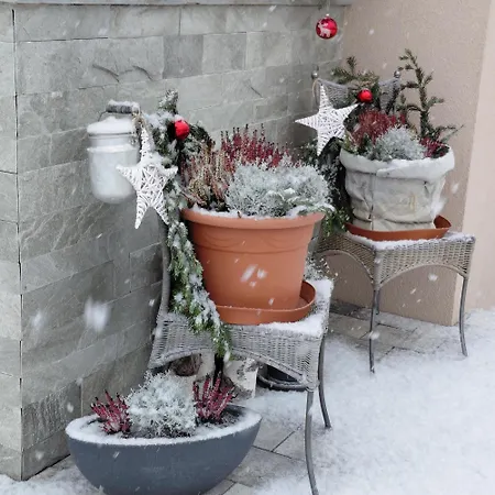 Διαμέρισμα Kumming Incl Nationalparkcard