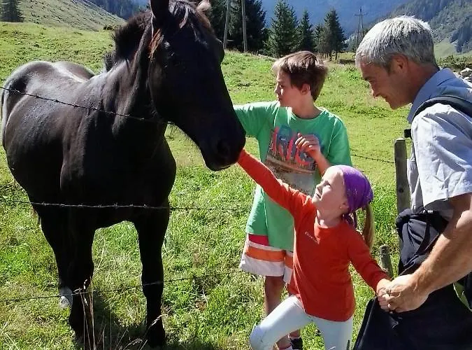 Kumming Incl Nationalparkcard Apartmán